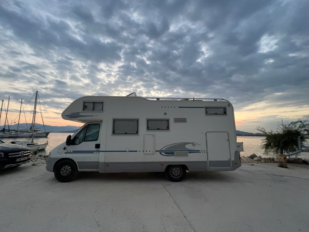 CORALKA IŠČE NOVO DRUŽINO –&nbsp;found