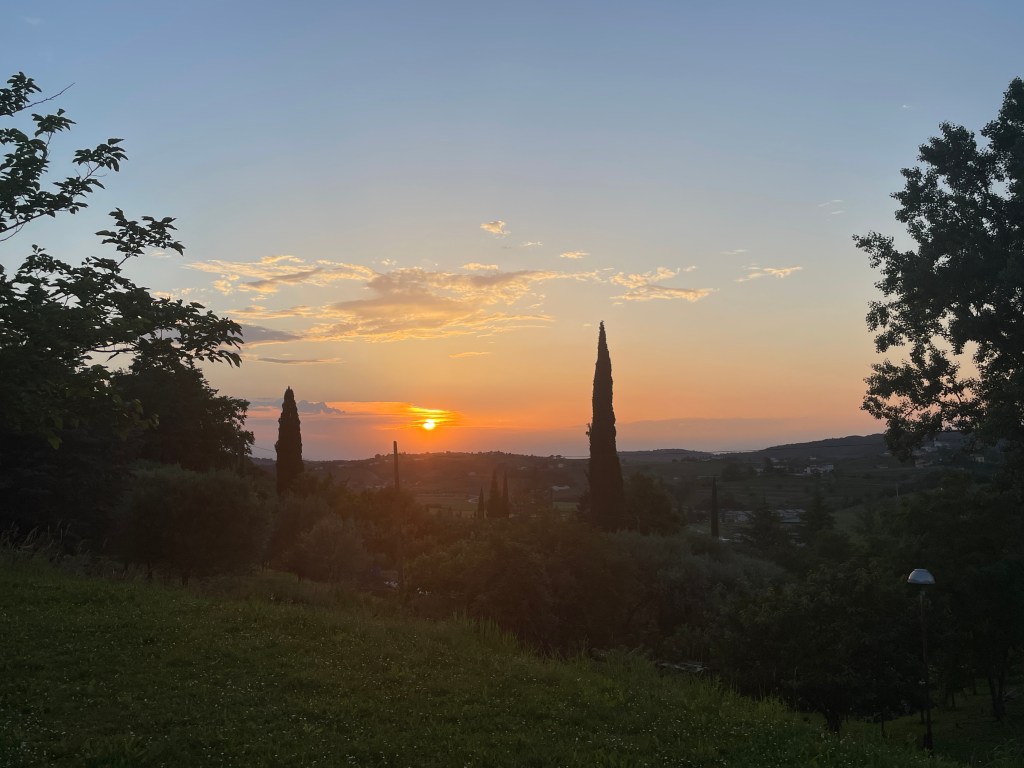 OD ČEŠNJE DO&nbsp;ČEŠNJE